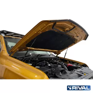 Gatos de capo para Nueva Ford Ranger