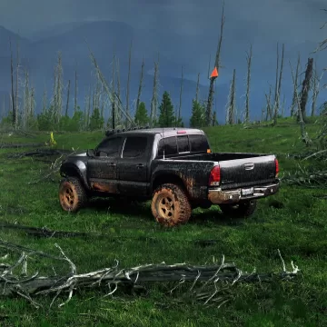 DSC2004